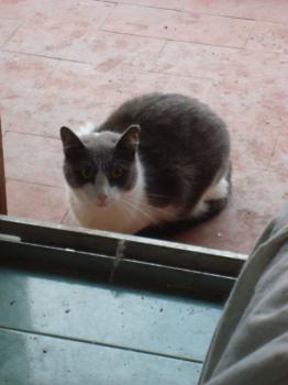 Bild von Vivi