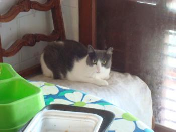 Bild von Vivi