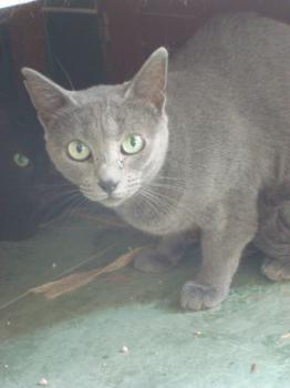 Lumen Bild von Lumen
