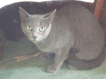 Lumen Bild von Lumen