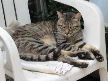 Barty Bild von Barty