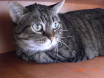 Maripot Bild von Maripot