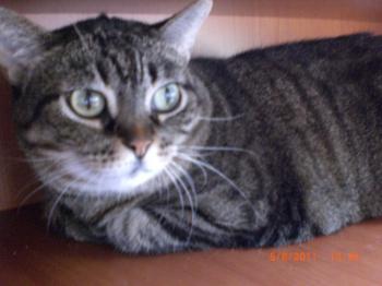 Maripot Bild von Maripot