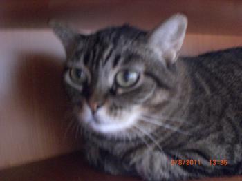Maripot Bild von Maripot