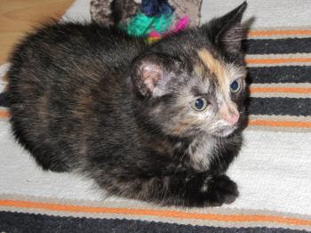 Betty Bild von Betty