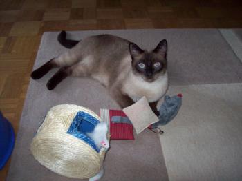 Pancho Bild von Pancho