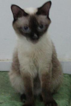 Kouky Bild von Kouky