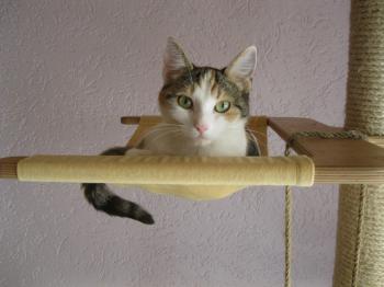 Pünktchen Bild von Pünktchen