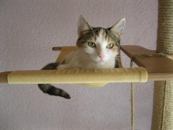 Pünktchen Bild von Pünktchen