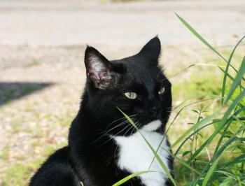 Mathias Bild von Mathias