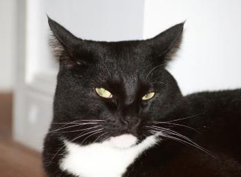 Mathias Bild von Mathias