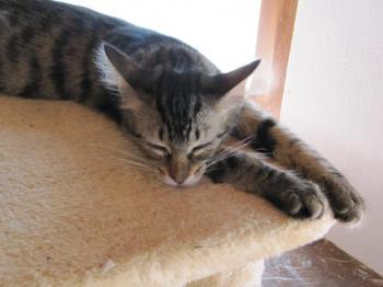 Pepa Bild von Pepa