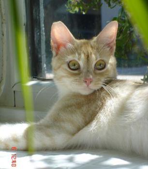 Kate Bild von Guapa