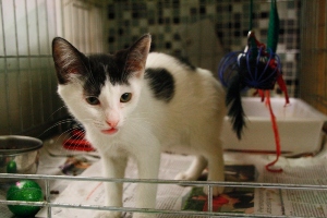 Betty Bild von Betty