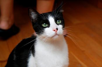 Bruce Bild von Bruce