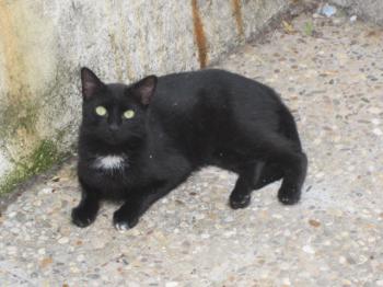 Bild von Sally