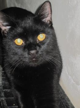 Salem Bild von Salem