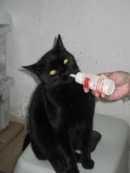 Salem Bild von Salem