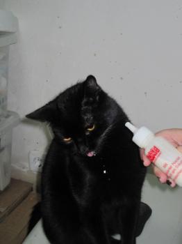 Salem Bild von Salem