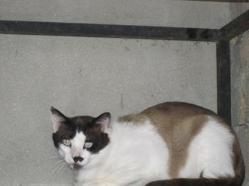Moritz Bild von Moritz