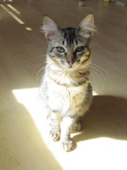 Pepa Bild von Pepa