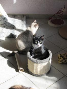 Bild von Jerry