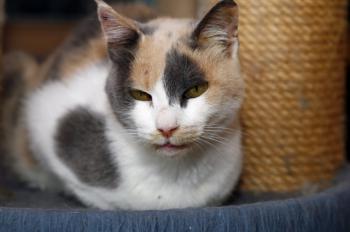 Amelie Bild von Amelie