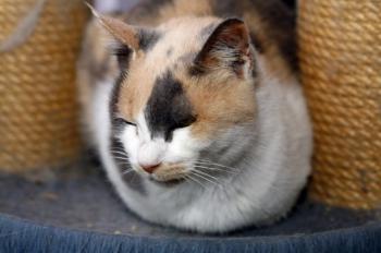 Amelie Bild von Amelie