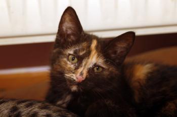 Betty Bild von Betty