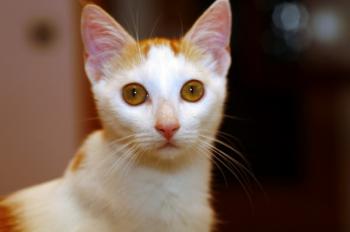 Franny Bild von Franny