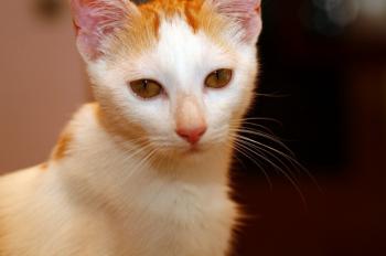 Franny Bild von Franny