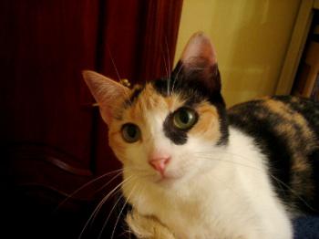Teresita Bild von Teresita
