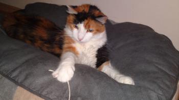 Emely - 4676 Bild von Emely