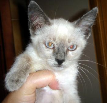 Lola Bild von Lola