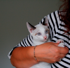 Poncho Bild von Poncho