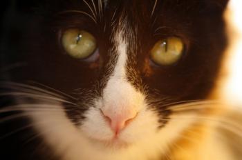 Bild von Jerry