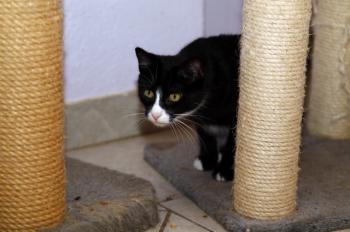 Bild von Jerry