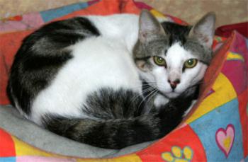 Nachito Bild von Nachito
