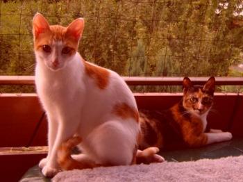 Dorotea und Foster Bild von Dorotea