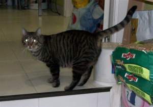 Patxi Bild von Patxi