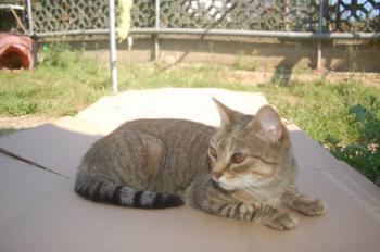 Migoya Bild von Migoya