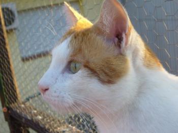 Moix Bild von Moix