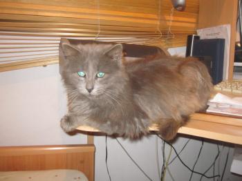 Maximiliano Bild von Maximiliano