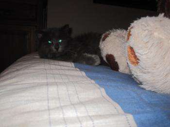 Maximiliano Bild von Maximiliano