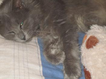 Maximiliano Bild von Maximiliano