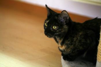 Keiko Bild von Keiko