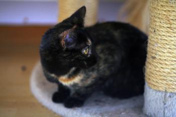 Keiko Bild von Keiko