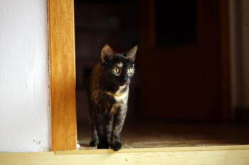 Keiko Bild von Keiko