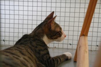 Brother Bild von Brother
