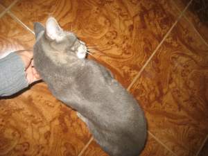 Debora Bild von Deborah